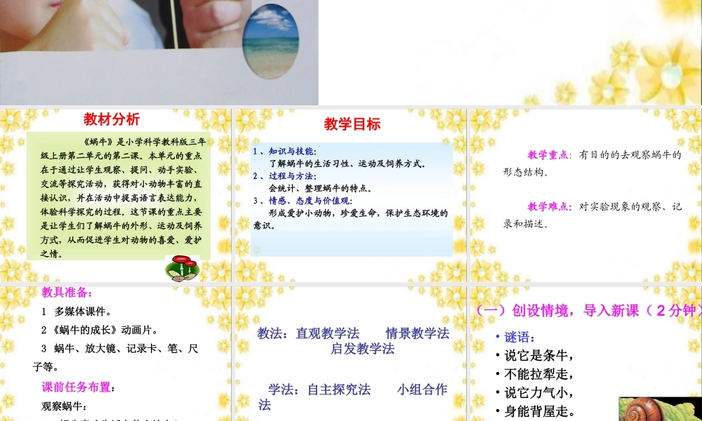 教科小学科学三上《2.2、蜗牛（一）》PPT课件(15)【加微信公众号 jiaoxuewuyou 九折优惠 qq 1119139686】.ppt
