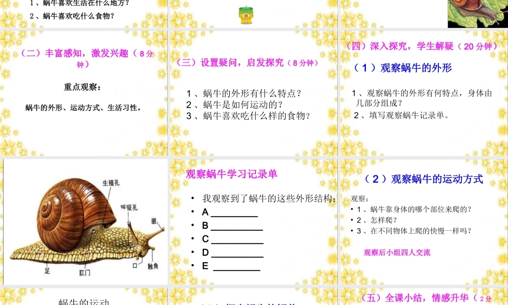 教科小学科学三上《2.2、蜗牛（一）》PPT课件(15)【加微信公众号 jiaoxuewuyou 九折优惠 qq 1119139686】.ppt