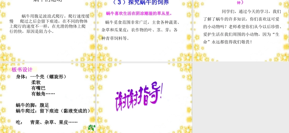 教科小学科学三上《2.2、蜗牛（一）》PPT课件(15)【加微信公众号 jiaoxuewuyou 九折优惠 qq 1119139686】.ppt