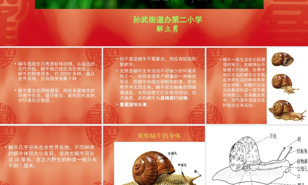 教科小学科学三上《2.2、蜗牛（一）》PPT课件(4)【加微信公众号 jiaoxuewuyou 九折优惠 qq 1119139686】.ppt