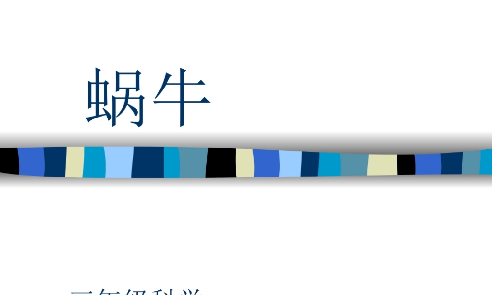 教科小学科学三上《2.2、蜗牛（一）》PPT课件(14)【加微信公众号 jiaoxuewuyou 九折优惠 qq 1119139686】.ppt