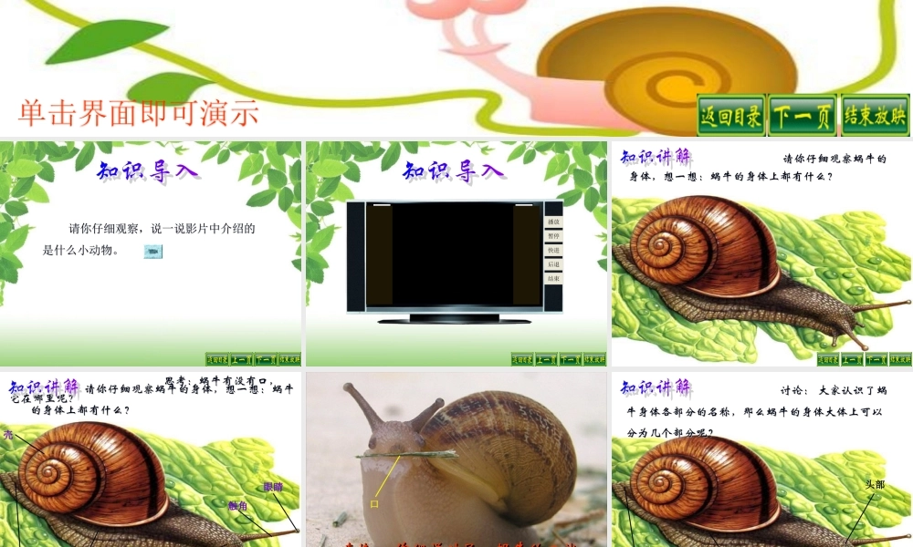 教科小学科学三上《2.2、蜗牛（一）》PPT课件(8)【加微信公众号 jiaoxuewuyou 九折优惠 qq 1119139686】.ppt