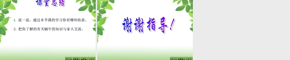 教科小学科学三上《2.2、蜗牛（一）》PPT课件(8)【加微信公众号 jiaoxuewuyou 九折优惠 qq 1119139686】.ppt