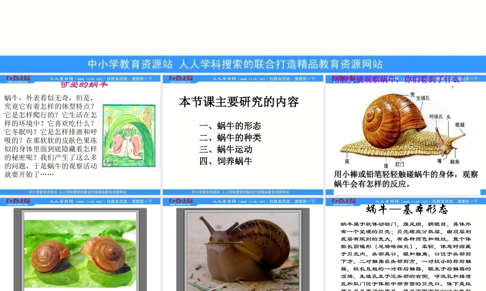 教科小学科学三上《2.3、蜗牛（1）》PPT课件(1)【加微信公众号 jiaoxuewuyou 九折优惠 qq 1119139686】.ppt