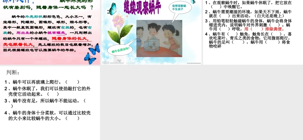 教科小学科学三上《2.3、蜗牛（二）》PPT课件(1)【加微信公众号 jiaoxuewuyou 九折优惠 qq 1119139686】.ppt