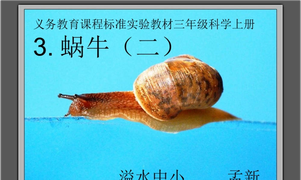 教科小学科学三上《2.3、蜗牛（二）》PPT课件(7)【加微信公众号 jiaoxuewuyou 九折优惠 qq 1119139686】.ppt