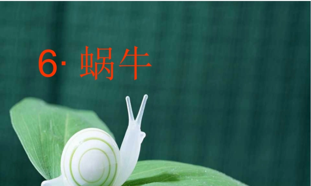 教科小学科学三上《2.3、蜗牛（1）》PPT课件(2)【加微信公众号 jiaoxuewuyou 九折优惠 qq 1119139686】.ppt