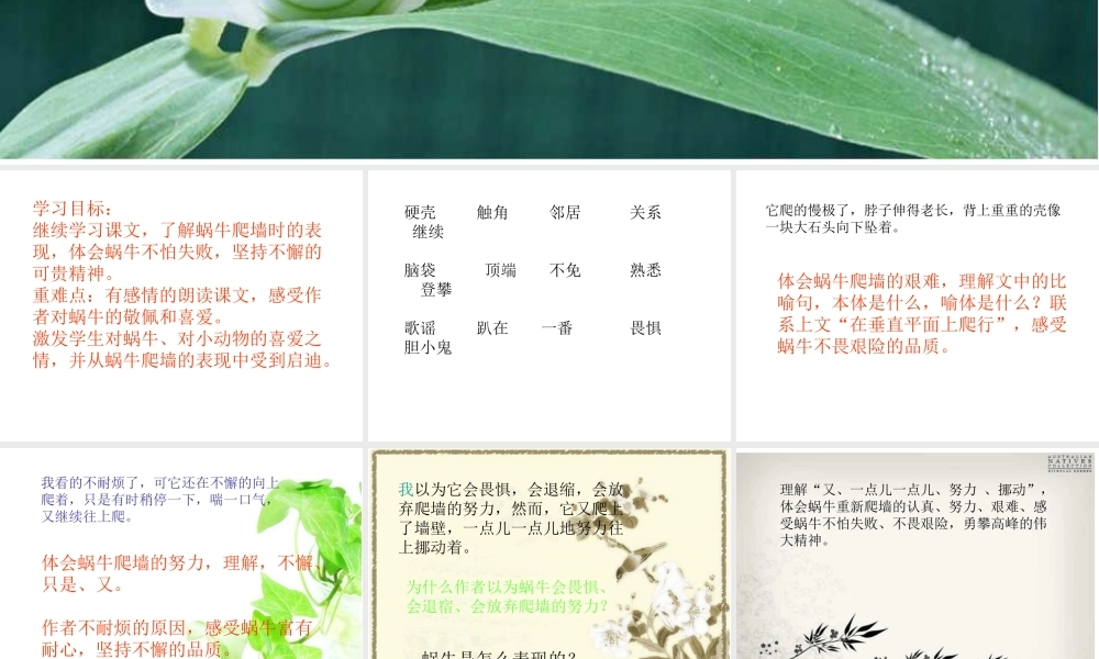 教科小学科学三上《2.3、蜗牛（1）》PPT课件(2)【加微信公众号 jiaoxuewuyou 九折优惠 qq 1119139686】.ppt