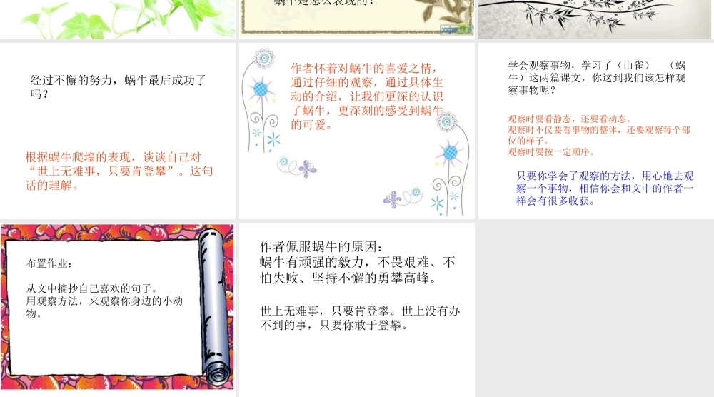 教科小学科学三上《2.3、蜗牛（1）》PPT课件(2)【加微信公众号 jiaoxuewuyou 九折优惠 qq 1119139686】.ppt