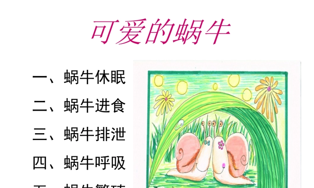 教科小学科学三上《2.3、蜗牛（二）》PPT课件(2)【加微信公众号 jiaoxuewuyou 九折优惠 qq 1119139686】.ppt