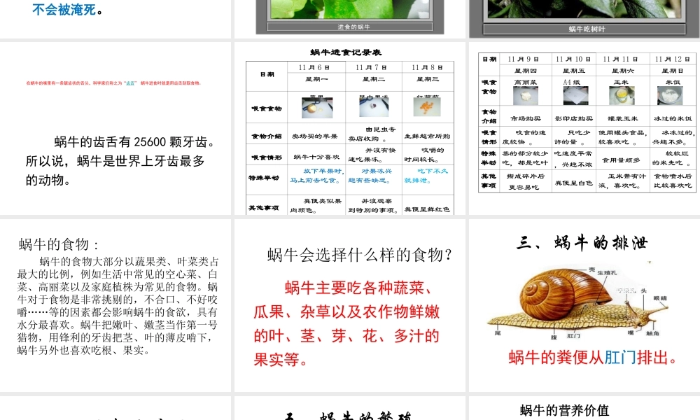 教科小学科学三上《2.3、蜗牛（二）》PPT课件(2)【加微信公众号 jiaoxuewuyou 九折优惠 qq 1119139686】.ppt