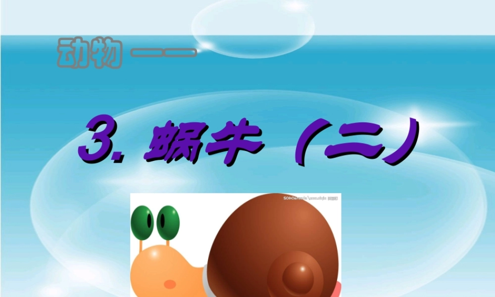 教科小学科学三上《2.3、蜗牛（二）》PPT课件(9)【加微信公众号 jiaoxuewuyou 九折优惠 qq 1119139686】.ppt