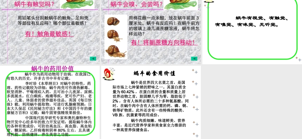 教科小学科学三上《2.3、蜗牛（二）》PPT课件(9)【加微信公众号 jiaoxuewuyou 九折优惠 qq 1119139686】.ppt