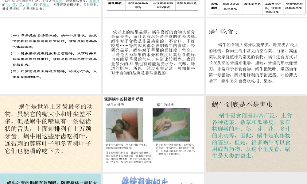 教科小学科学三上《2.3、蜗牛（二）》PPT课件(6)【加微信公众号 jiaoxuewuyou 九折优惠 qq 1119139686】.ppt