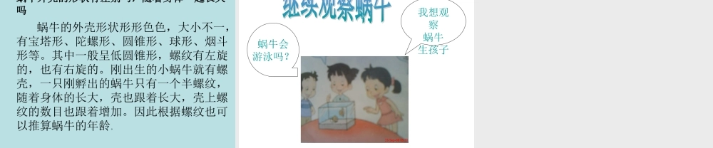 教科小学科学三上《2.3、蜗牛（二）》PPT课件(6)【加微信公众号 jiaoxuewuyou 九折优惠 qq 1119139686】.ppt