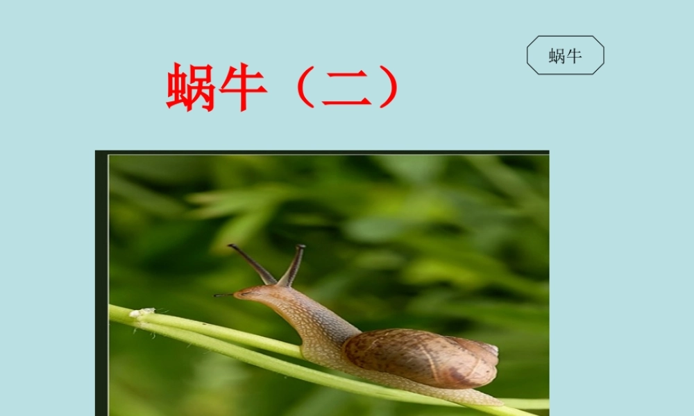 教科小学科学三上《2.3、蜗牛（二）》PPT课件(4)【加微信公众号 jiaoxuewuyou 九折优惠 qq 1119139686】.ppt