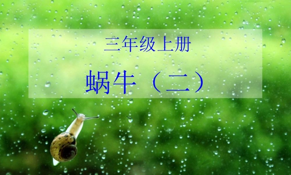 教科小学科学三上《2.3、蜗牛（二）》PPT课件(3)【加微信公众号 jiaoxuewuyou 九折优惠 qq 1119139686】.ppt