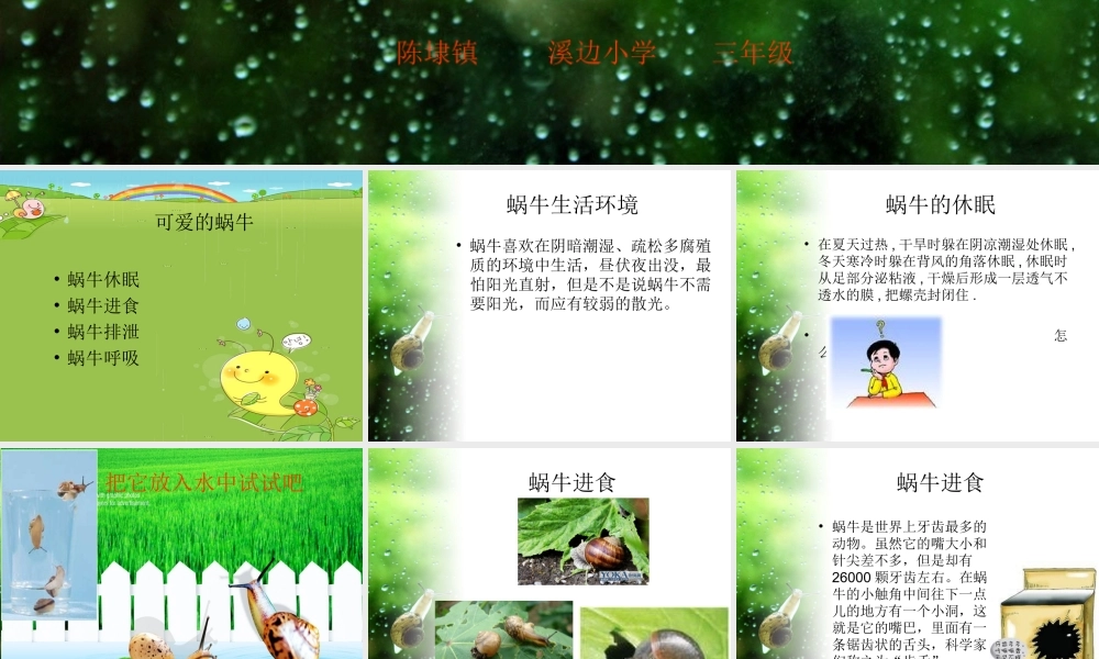 教科小学科学三上《2.3、蜗牛（二）》PPT课件(3)【加微信公众号 jiaoxuewuyou 九折优惠 qq 1119139686】.ppt