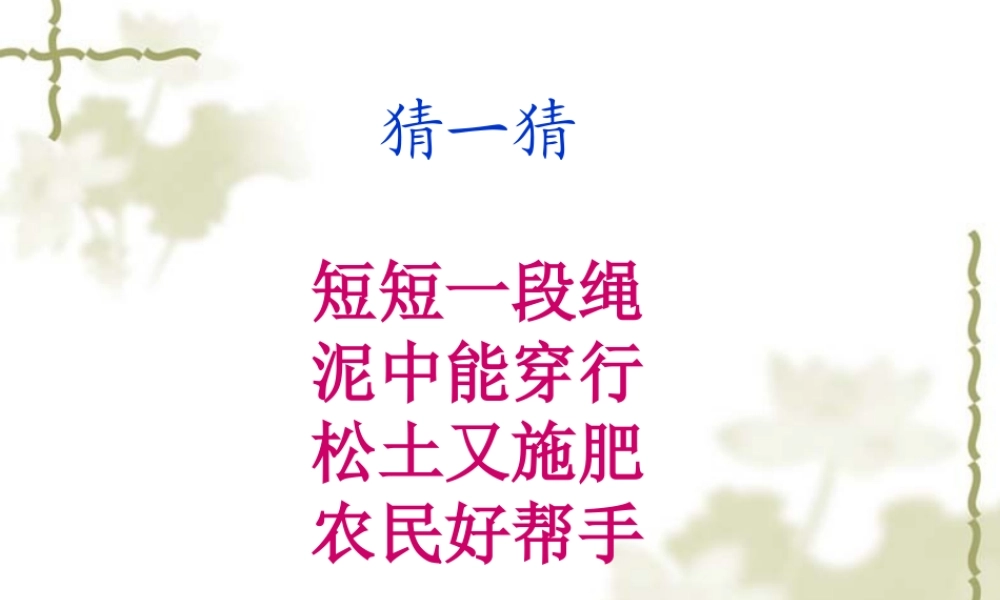 教科小学科学三上《2.4、蚯蚓》PPT课件(6)【加微信公众号 jiaoxuewuyou 九折优惠 qq 1119139686】.ppt