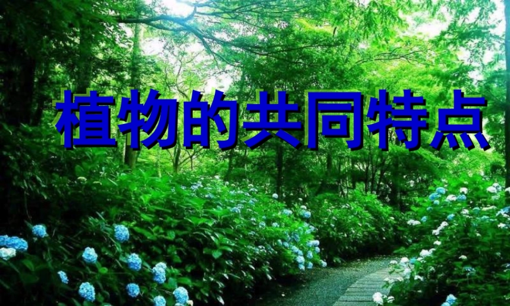 教科小学科学三上《2.7、动物的共同特点》PPT课件(1)【加微信公众号 jiaoxuewuyou 九折优惠 qq 1119139686】.ppt