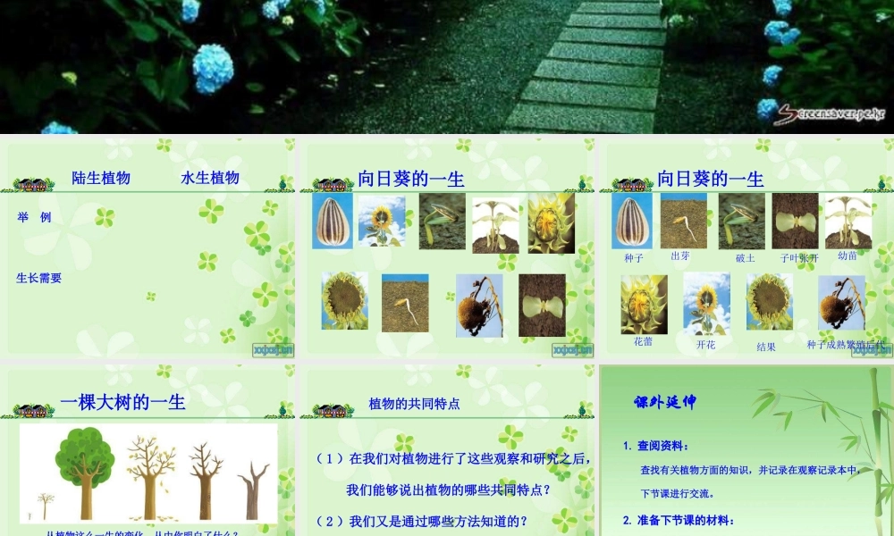 教科小学科学三上《2.7、动物的共同特点》PPT课件(1)【加微信公众号 jiaoxuewuyou 九折优惠 qq 1119139686】.ppt