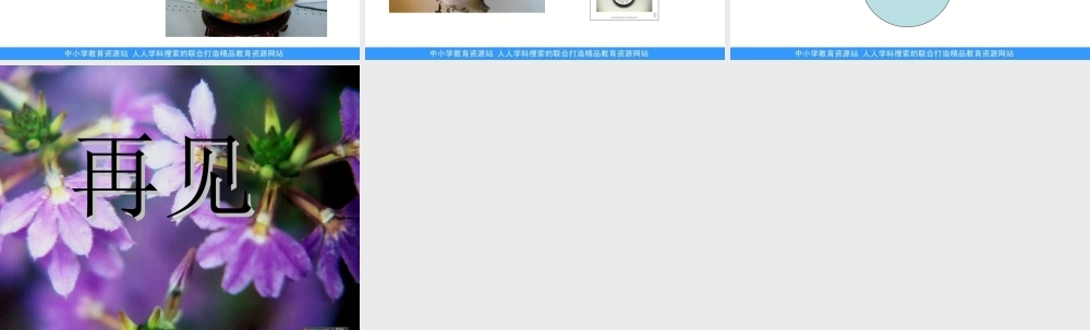 教科小学科学三上《2.6、金鱼》PPT课件(2)【加微信公众号 jiaoxuewuyou 九折优惠 qq 1119139686】.ppt