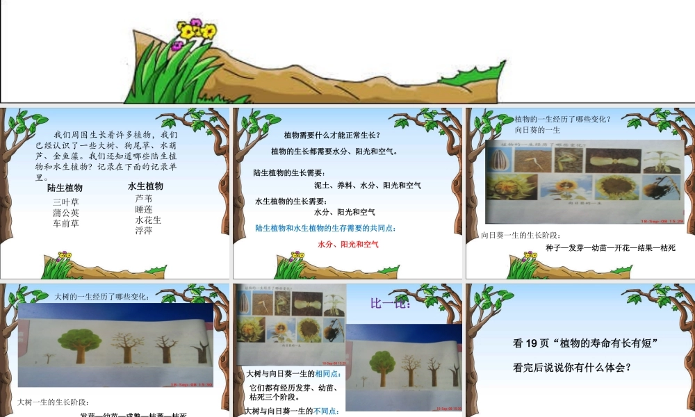 教科小学科学三上《2.7、动物的共同特点》PPT课件(4)【加微信公众号 jiaoxuewuyou 九折优惠 qq 1119139686】.ppt