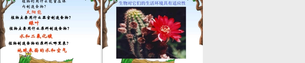 教科小学科学三上《2.7、动物的共同特点》PPT课件(4)【加微信公众号 jiaoxuewuyou 九折优惠 qq 1119139686】.ppt