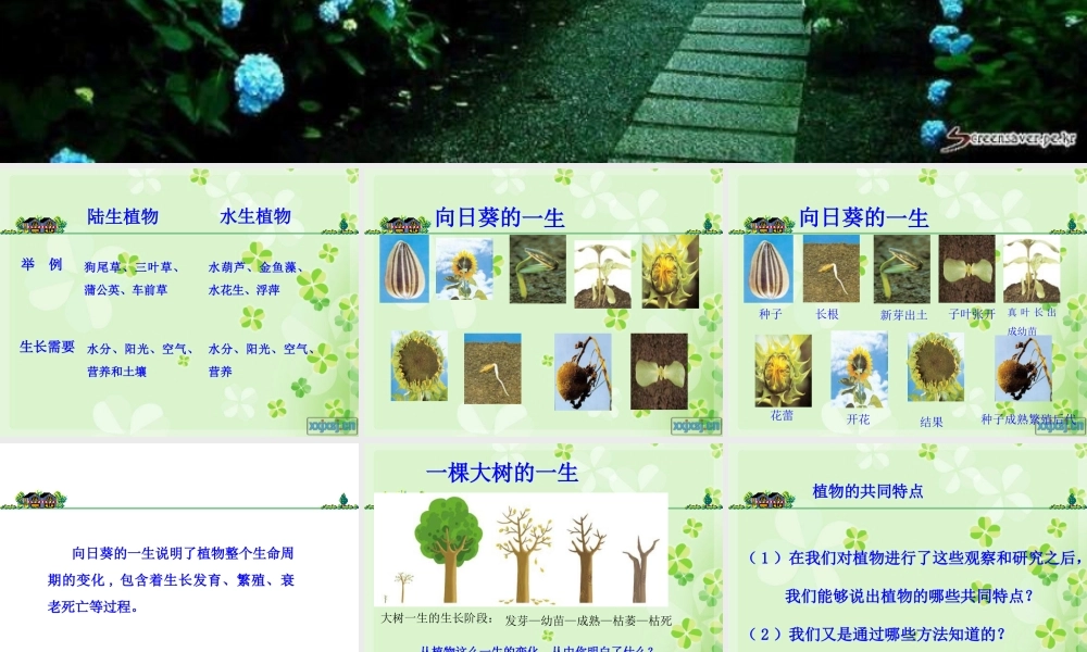 教科小学科学三上《2.7、动物的共同特点》PPT课件(5)【加微信公众号 jiaoxuewuyou 九折优惠 qq 1119139686】.ppt