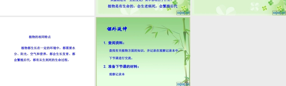 教科小学科学三上《2.7、动物的共同特点》PPT课件(5)【加微信公众号 jiaoxuewuyou 九折优惠 qq 1119139686】.ppt