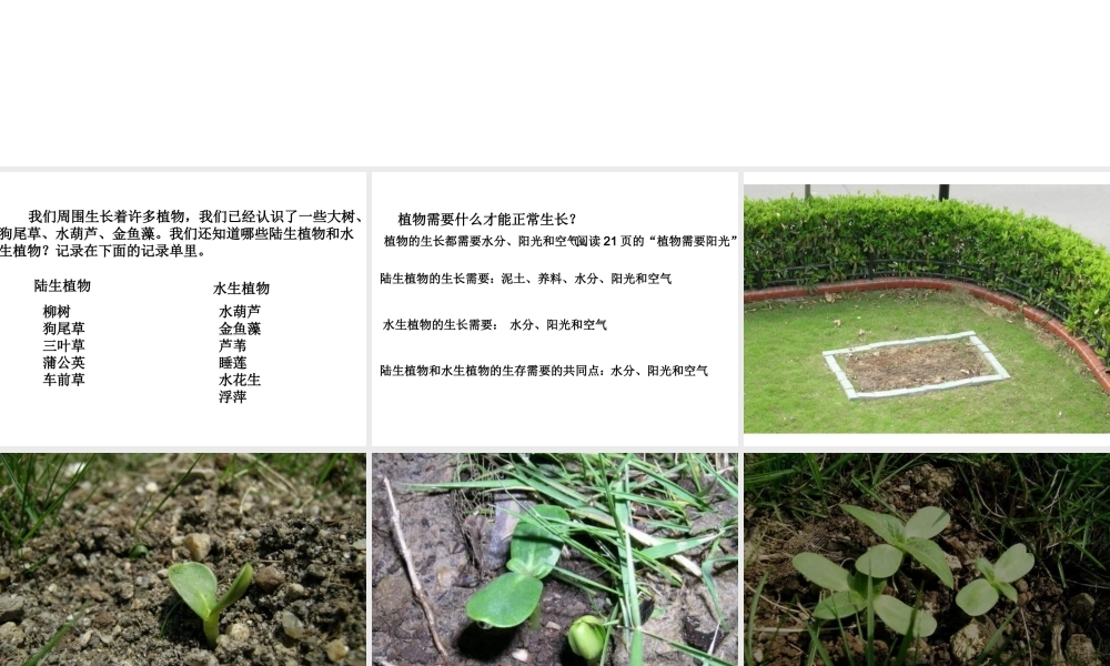 教科小学科学三上《2.7、动物的共同特点》PPT课件(6)【加微信公众号 jiaoxuewuyou 九折优惠 qq 1119139686】.ppt