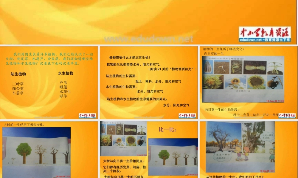 教科小学科学三上《2.7、动物的共同特点》PPT课件(7)【加微信公众号 jiaoxuewuyou 九折优惠 qq 1119139686】.ppt