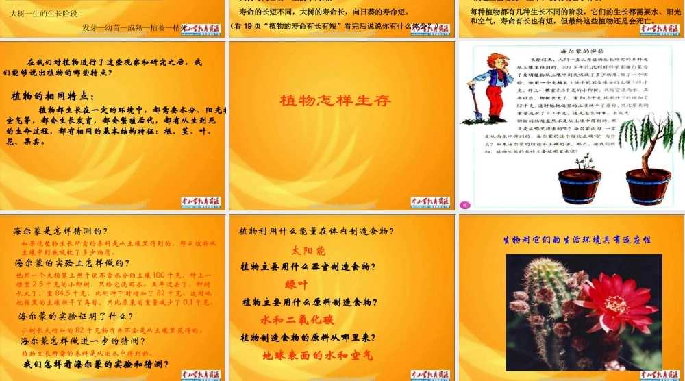 教科小学科学三上《2.7、动物的共同特点》PPT课件(7)【加微信公众号 jiaoxuewuyou 九折优惠 qq 1119139686】.ppt