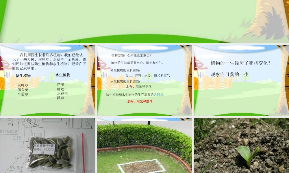 教科小学科学三上《2.7、动物的共同特点》PPT课件(3)【加微信公众号 jiaoxuewuyou 九折优惠 qq 1119139686】.ppt