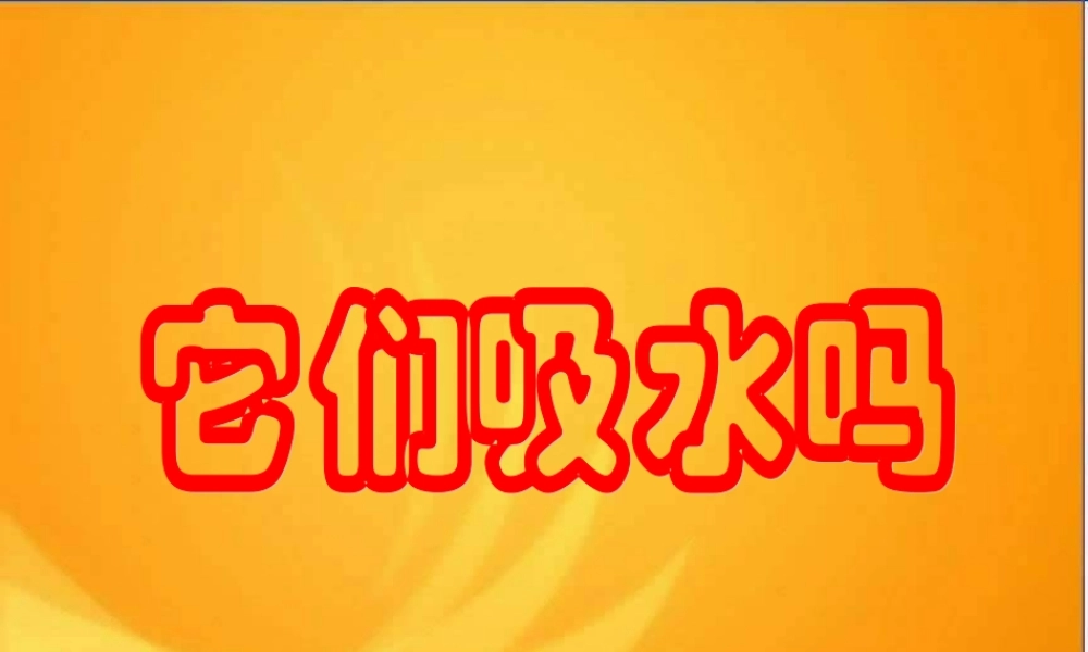 教科小学科学三上《3.4、它们吸水吗》PPT课件(2)【加微信公众号 jiaoxuewuyou 九折优惠 qq 1119139686】.ppt