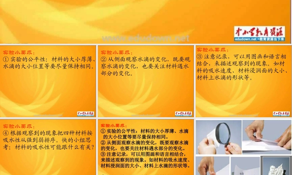 教科小学科学三上《3.4、它们吸水吗》PPT课件(2)【加微信公众号 jiaoxuewuyou 九折优惠 qq 1119139686】.ppt