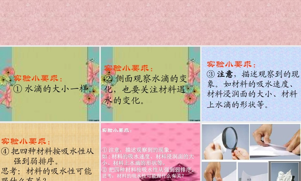 教科小学科学三上《3.4、它们吸水吗》PPT课件(3)【加微信公众号 jiaoxuewuyou 九折优惠 qq 1119139686】.ppt