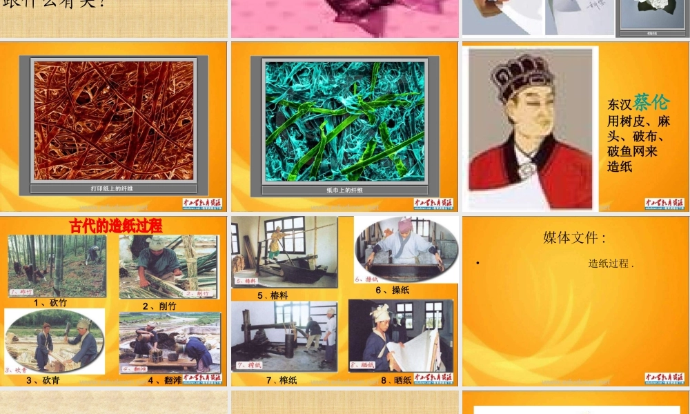 教科小学科学三上《3.4、它们吸水吗》PPT课件(3)【加微信公众号 jiaoxuewuyou 九折优惠 qq 1119139686】.ppt