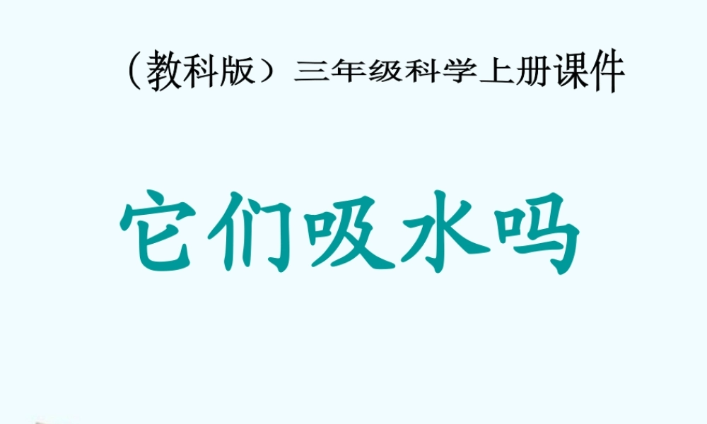 教科小学科学三上《3.4、它们吸水吗》PPT课件(6)【加微信公众号 jiaoxuewuyou 九折优惠 qq 1119139686】.ppt