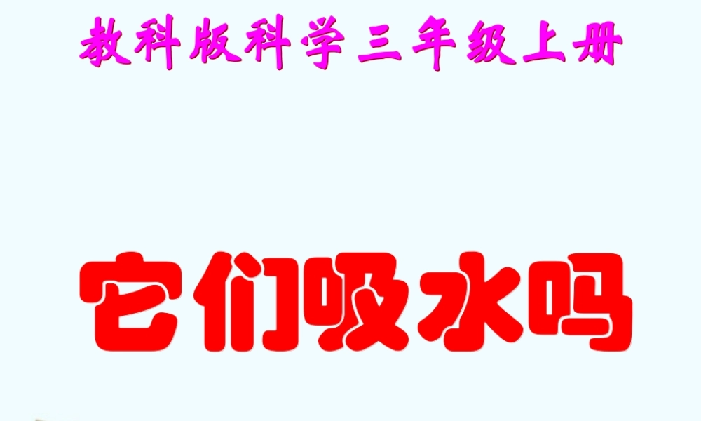 教科小学科学三上《3.4、它们吸水吗》PPT课件(4)【加微信公众号 jiaoxuewuyou 九折优惠 qq 1119139686】.ppt