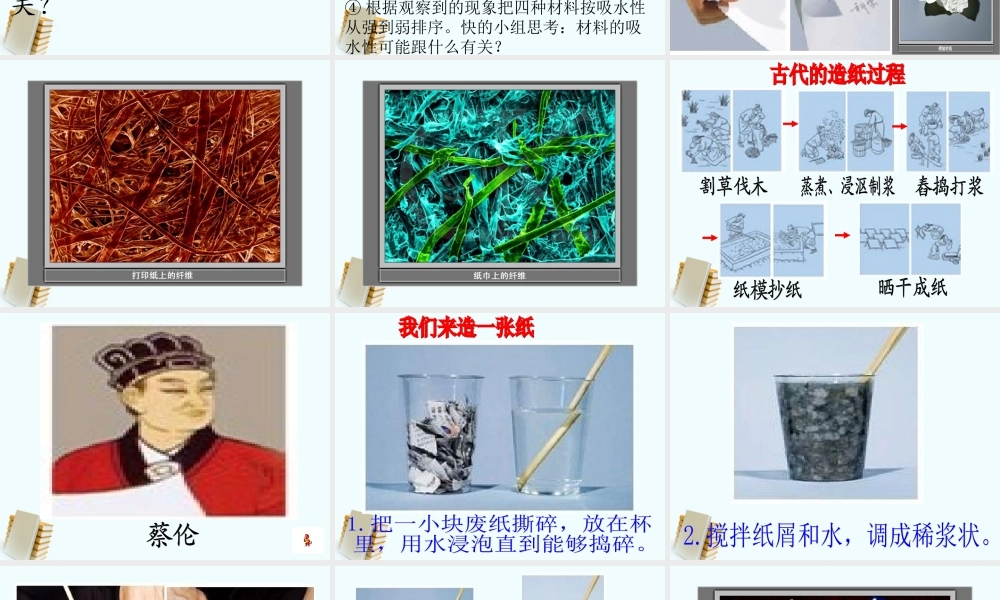 教科小学科学三上《3.4、它们吸水吗》PPT课件(4)【加微信公众号 jiaoxuewuyou 九折优惠 qq 1119139686】.ppt