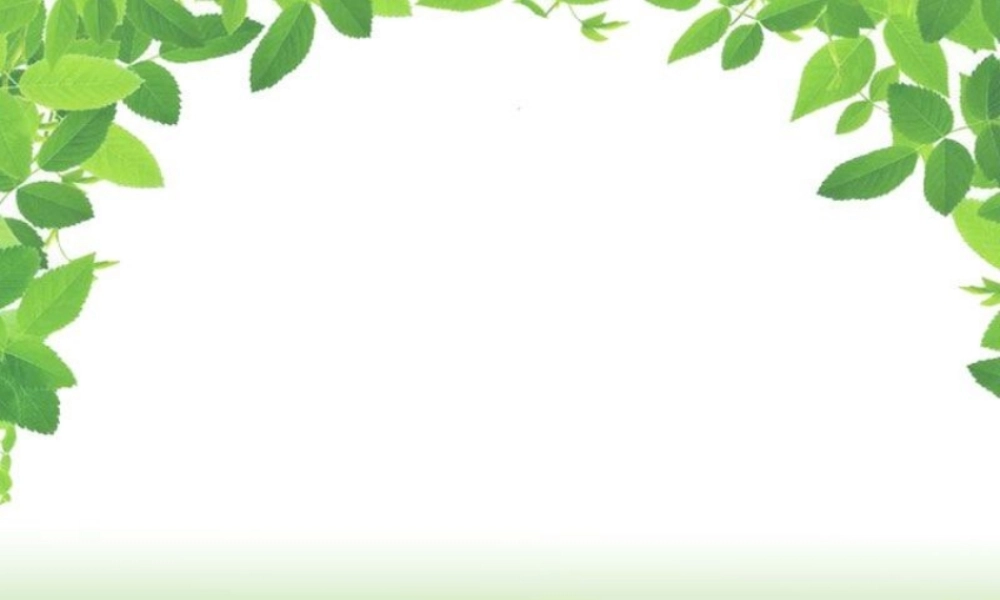 教科小学科学三上《4.2、水和食用油的比较》PPT课件(3)【加微信公众号 jiaoxuewuyou 九折优惠 qq 1119139686】.ppt