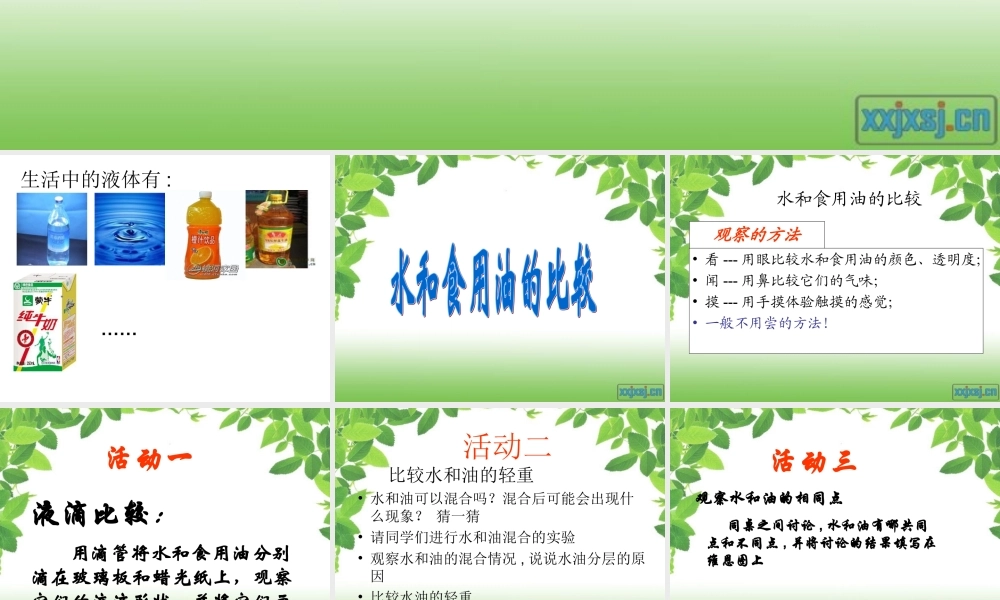 教科小学科学三上《4.2、水和食用油的比较》PPT课件(3)【加微信公众号 jiaoxuewuyou 九折优惠 qq 1119139686】.ppt