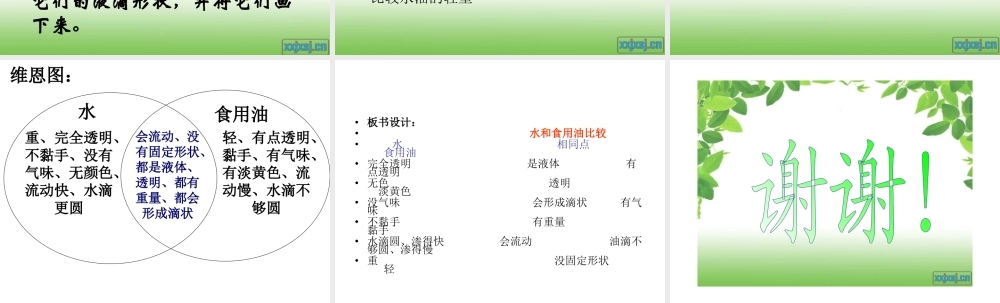 教科小学科学三上《4.2、水和食用油的比较》PPT课件(3)【加微信公众号 jiaoxuewuyou 九折优惠 qq 1119139686】.ppt