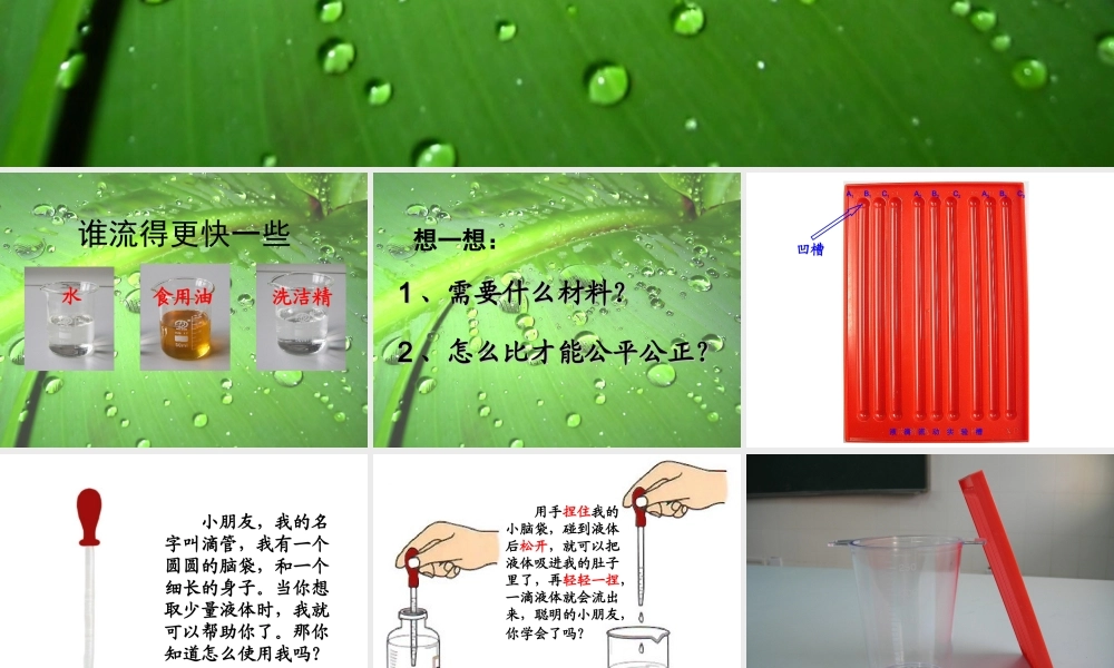 教科小学科学三上《4.3、谁流得更快一些》PPT课件(5)【加微信公众号 jiaoxuewuyou 九折优惠 qq 1119139686】.ppt