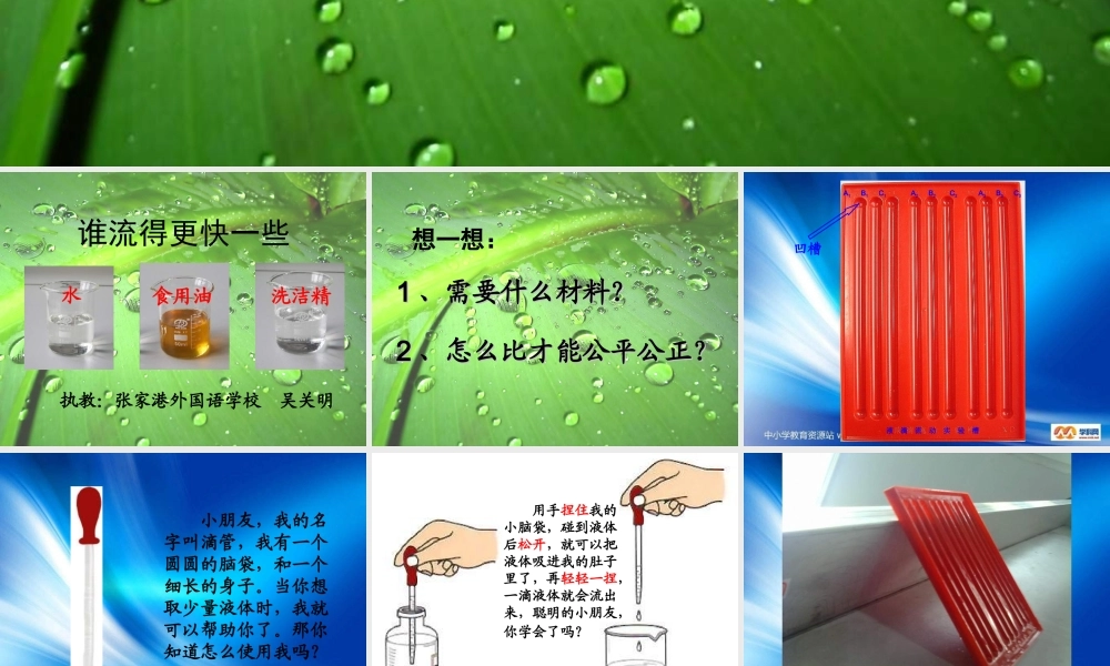 教科小学科学三上《4.3、谁流得更快一些》PPT课件(3)【加微信公众号 jiaoxuewuyou 九折优惠 qq 1119139686】.ppt