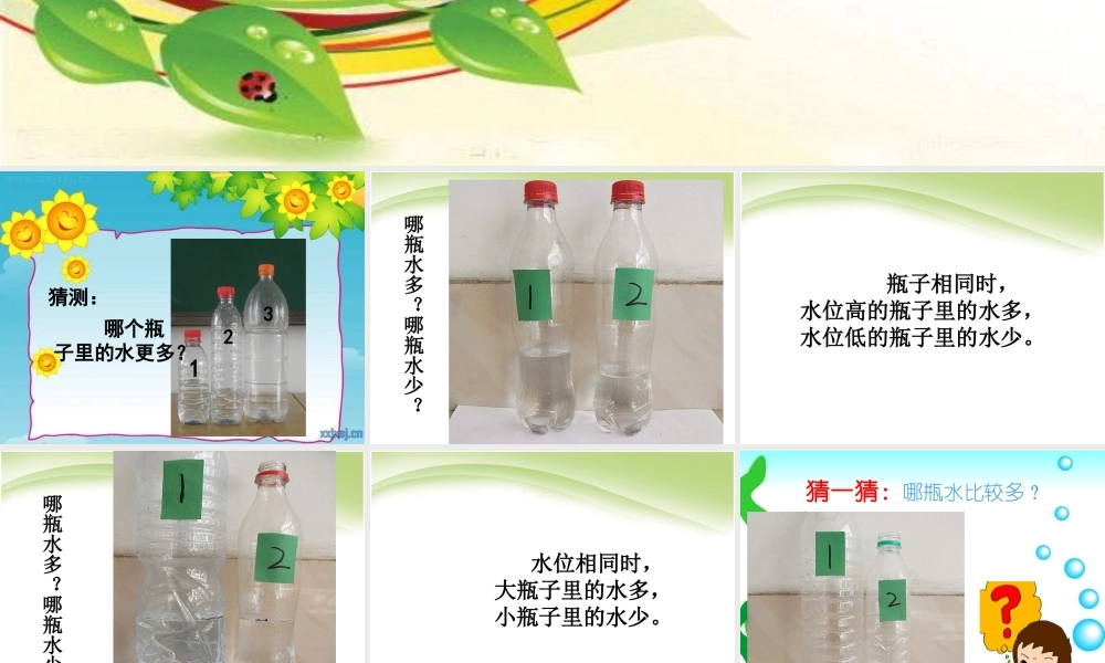 教科小学科学三上《4.4、比较水的多少》PPT课件(5)【加微信公众号 jiaoxuewuyou 九折优惠 qq 1119139686】.ppt