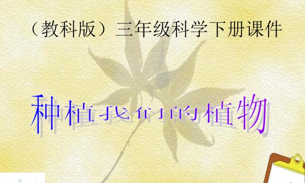 教科小学科学三下《1.2.种植我们的植物》PPT课件(1)【加微信公众号 jiaoxuewuyou 九折优惠 qq 1119139686】.ppt