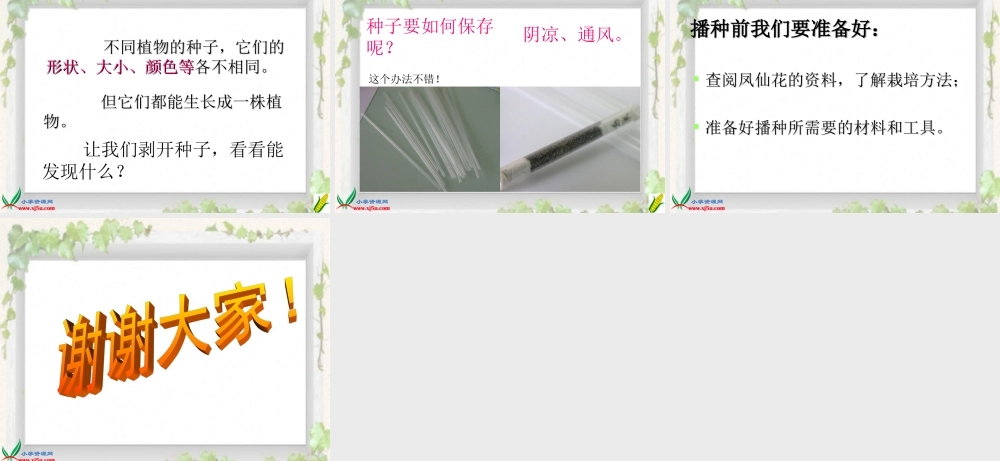 教科小学科学三下《1.1.植物新生命的开始》PPT课件【加微信公众号 jiaoxuewuyou 九折优惠 qq 1119139686】.ppt