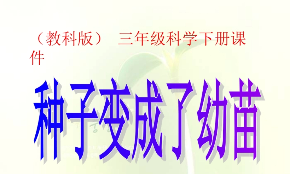 教科小学科学三下《1.4.种子变成了幼苗》PPT课件(6)【加微信公众号 jiaoxuewuyou 九折优惠 qq 1119139686】.ppt
